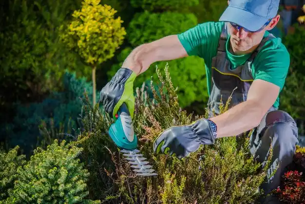 landscaping services Stewart Manor